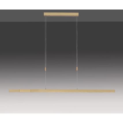 Paul Neuhaus 2568-60 - LED prigušiva luster na sajli ADRIANA LED/14W/230V 2700-5000K mesing