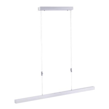 Paul Neuhaus 2568-95 - LED prigušiva luster na sajli ADRIANA LED/14W/230V 2700-5000K mat hrom