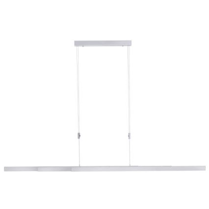 Paul Neuhaus 2568-95 - LED prigušiva luster na sajli ADRIANA LED/14W/230V 2700-5000K mat hrom