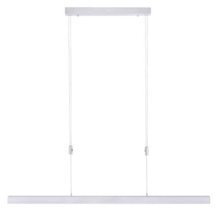 Paul Neuhaus 2568-95 - LED prigušiva luster na sajli ADRIANA LED/14W/230V 2700-5000K mat hrom