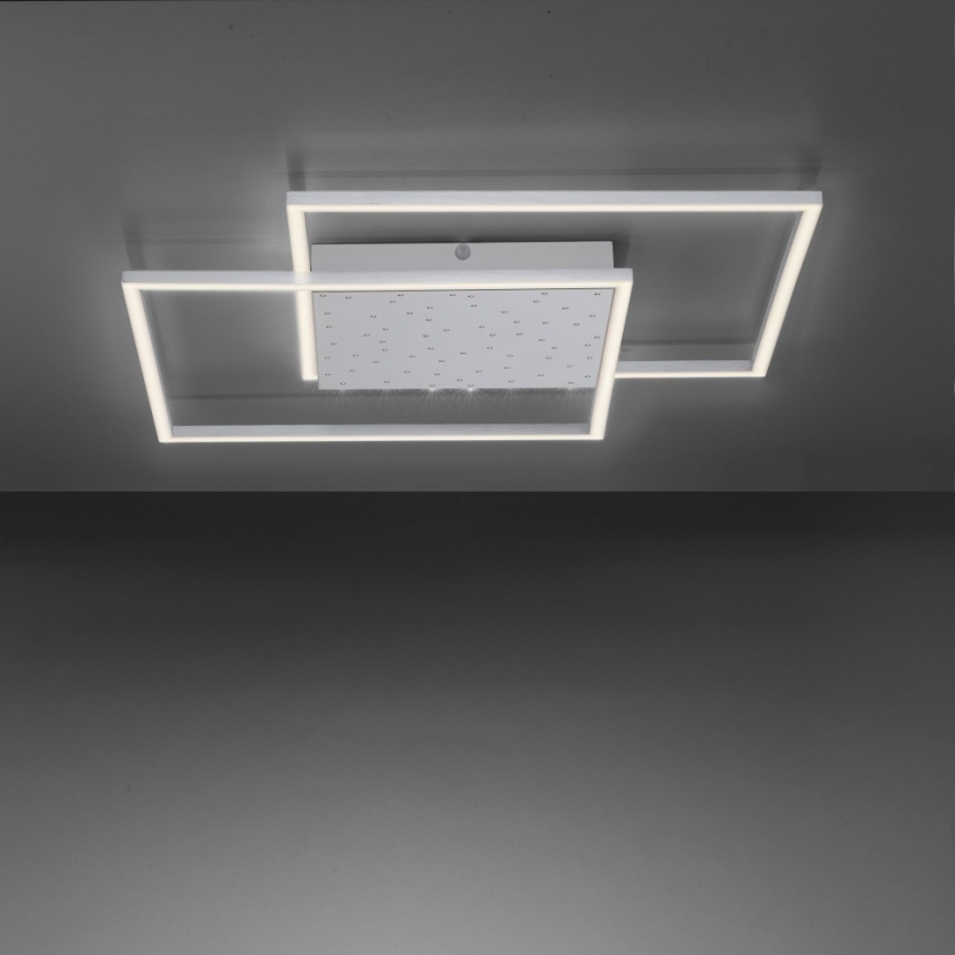 Paul Neuhaus 6024-55 - LED prigušiva prislonjen luster YUKI LED/49W/230V + daljinski upravljač