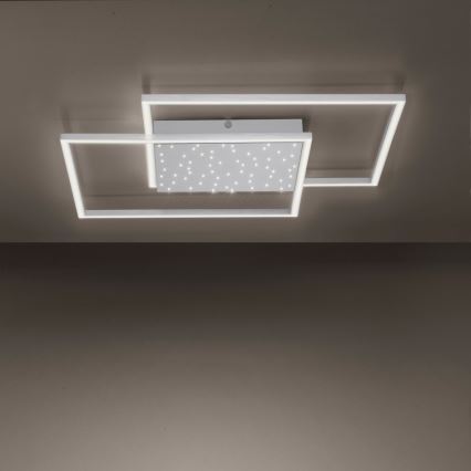 Paul Neuhaus 6024-55 - LED prigušiva prislonjen luster YUKI LED/49W/230V + daljinski upravljač