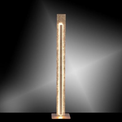 Paul Neuhaus 603-12 - LED podna lampa NEVIS LED/27W/230V