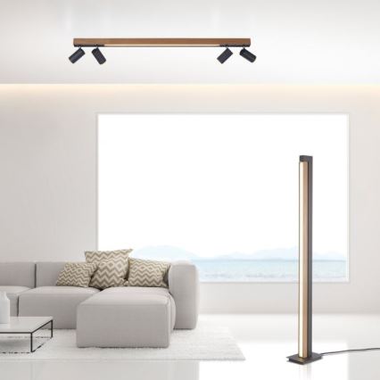 Paul Neuhaus 6121-79 - LED prigušiva spot svetiljka PURE 4xLED/4W/230V + LED/9W 2700-5000K + daljinski upravljač