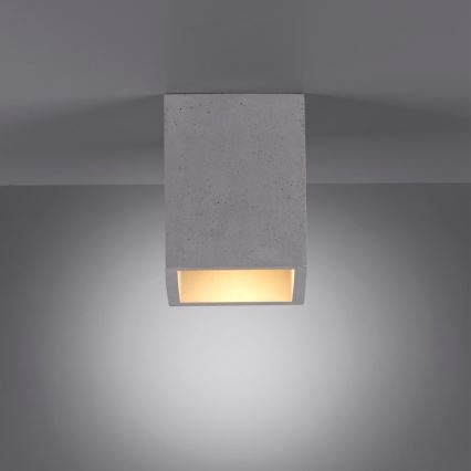 Paul Neuhaus 6161-22 - Spot svetiljka ETON 1xGU10/10W/230V beton