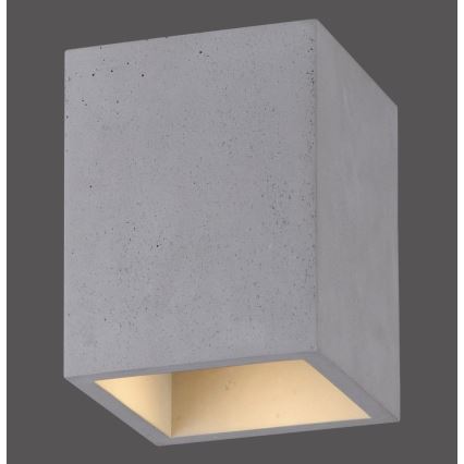 Paul Neuhaus 6161-22 - Spot svetiljka ETON 1xGU10/10W/230V beton