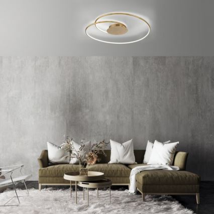 Paul Neuhaus 6189-12 - LED prigušiva stropna svetiljka NASTRO LED/26W/230V