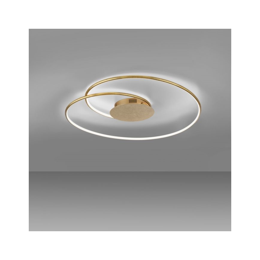 Paul Neuhaus 6189-12 - LED prigušiva stropna svetiljka NASTRO LED/26W/230V