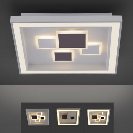 Paul Neuhaus 6283-16 - LED prigušiva plafonska lampa ELIZA LED/30W/230V + LED/18,5W