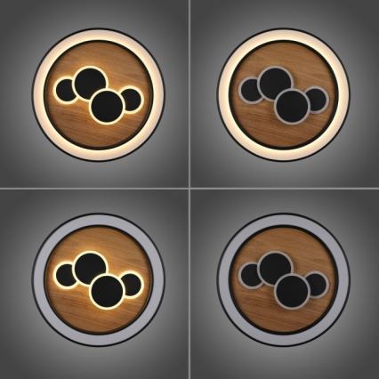 Paul Neuhaus 6284-79 - LED plafonsko svetlo ELIZA LED/55,5W/230V prečnik 60 cm hrast