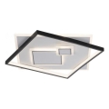 Paul Neuhaus 6390-16 - LED plafonsko svetlo MAILAK LED/37W/230V