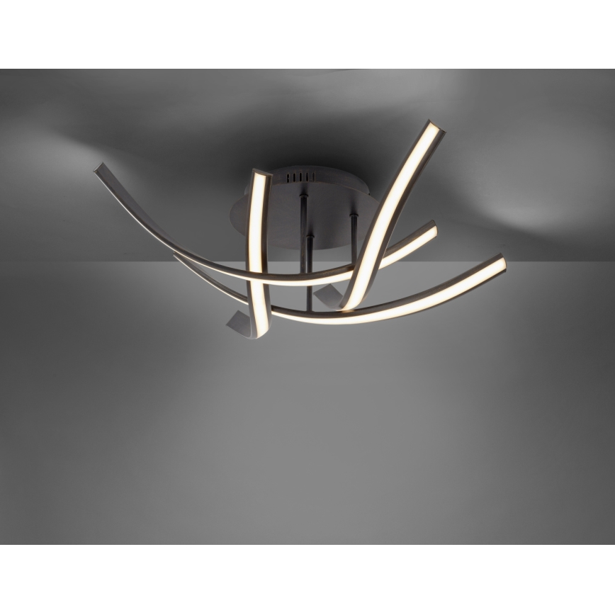 Paul Neuhaus 6474-48 - LED prigušiva prislonjena plafonska lampa LINDA 4xLED/7W/230V