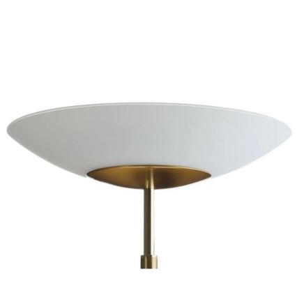 Paul Neuhaus 655-60 - LED prigušiva podna lampa ALFRED LED/28W/230V+LED/4W/230V mesing