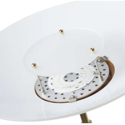 Paul Neuhaus 655-60 - LED prigušiva podna lampa ALFRED LED/28W/230V+LED/4W/230V mesing