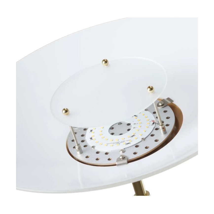 Paul Neuhaus 655-60 - LED prigušiva podna lampa ALFRED LED/28W/230V+LED/4W/230V mesing