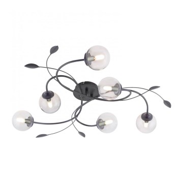 Paul Neuhaus 6737-18 - LED plafonski luster WIDOW 6xG9/3W/230V