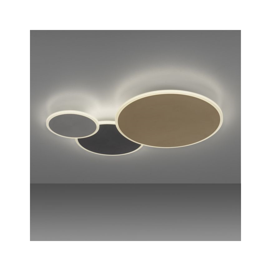 Paul Neuhaus 8007-70 - LED prigušiva plafonska svetiljka Q-PIATO LED/35W/230V 2700-5000K Wi-Fi + daljinski upravljač