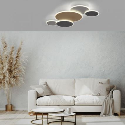 Paul Neuhaus 8008-70 - LED prigušiva plafonska lampa Q-PIATO LED/49W/230V 2700-5000K Wi-Fi + daljinski upravljač