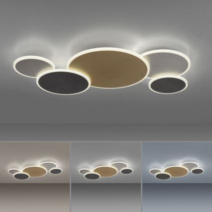 Paul Neuhaus 8008-70 - LED prigušiva plafonska lampa Q-PIATO LED/49W/230V 2700-5000K Wi-Fi + daljinski upravljač