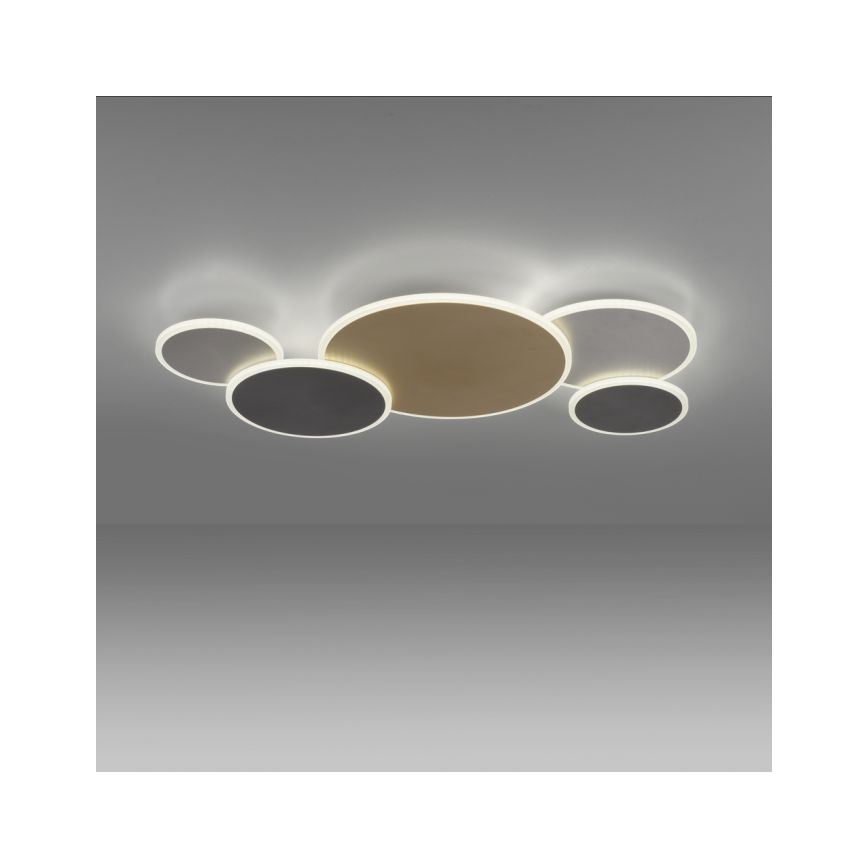 Paul Neuhaus 8008-70 - LED prigušiva plafonska lampa Q-PIATO LED/49W/230V 2700-5000K Wi-Fi + daljinski upravljač