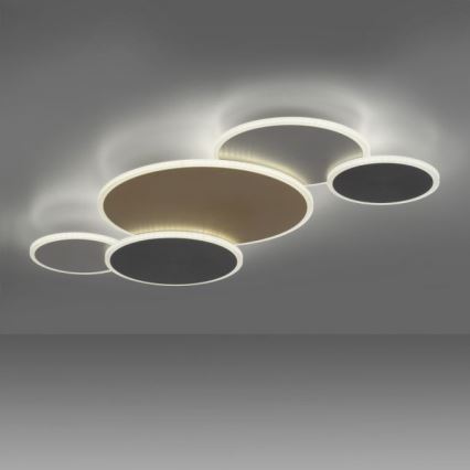 Paul Neuhaus 8008-70 - LED prigušiva plafonska lampa Q-PIATO LED/49W/230V 2700-5000K Wi-Fi + daljinski upravljač