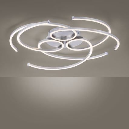 Paul Neuhaus 8165-55 - LED prigušiva plafonska svetiljka DANILO 3xLED/12W/230V