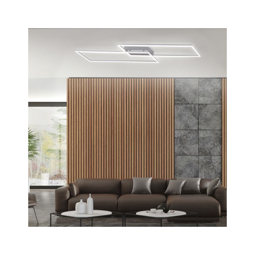 Paul Neuhaus 8194-55 - LED prigušiva plafonski luster INIGO 2xLED/20W/230V