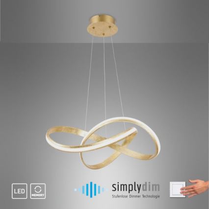 Paul Neuhaus 8291-12 - LED luster na sajli MELINDA, prigušiva, LED/30W/230V