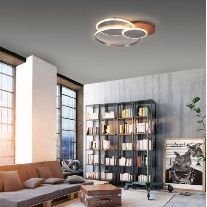 Paul Neuhaus 8328-79 - LED prigušiva plafonska svetiljka PALMA LED/50W/230V 2700-5000K borovina + daljinski upravljač