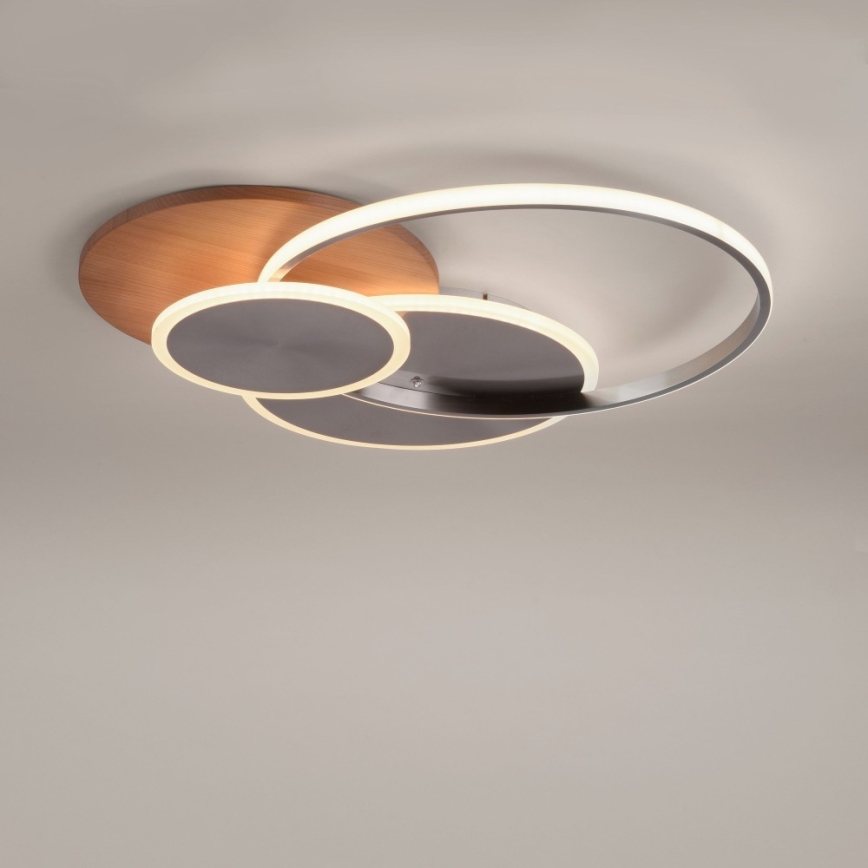 Paul Neuhaus 8328-79 - LED prigušiva plafonska svetiljka PALMA LED/50W/230V 2700-5000K borovina + daljinski upravljač