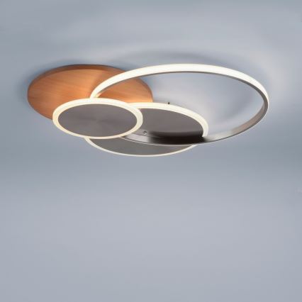 Paul Neuhaus 8328-79 - LED prigušiva plafonska svetiljka PALMA LED/50W/230V 2700-5000K borovina + daljinski upravljač