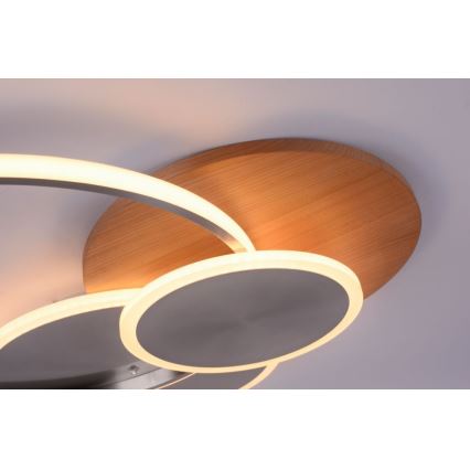 Paul Neuhaus 8328-79 - LED prigušiva plafonska svetiljka PALMA LED/50W/230V 2700-5000K borovina + daljinski upravljač