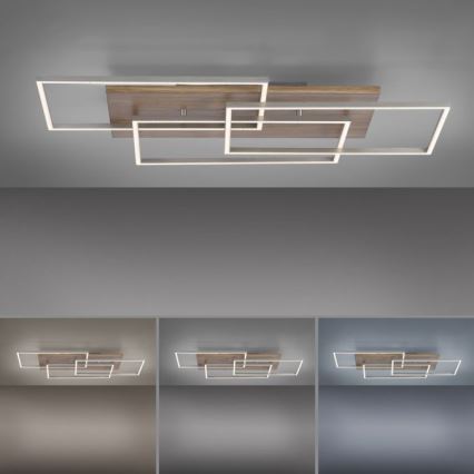 Paul Neuhaus 8330-79 - LED prigušiva plafonski luster PALMA 3xLED/12W/230V borovina + daljinski upravljač