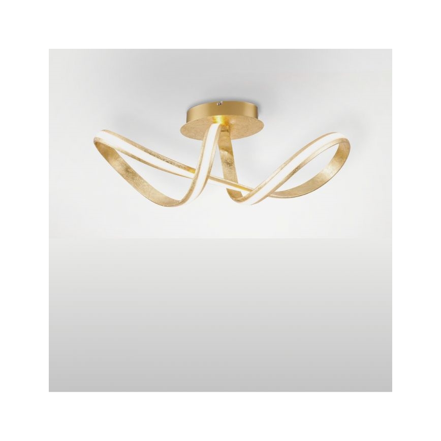 Paul Neuhaus 8331-12 - LED prigušiva plafonska lampa MELINDA LED/30W/230V