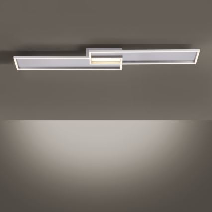 Paul Neuhaus 8371-55 - LED prigušiva plafonska lampa AMARA LED/40W/230V + daljinski upravljač