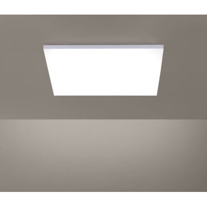 Paul Neuhaus 8492-16 - LED prigušiva nadgradni panel bez okvira LED/35W/230V + daljinski upravljač