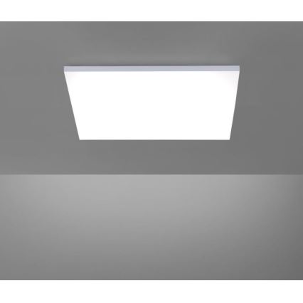 Paul Neuhaus 8492-16 - LED prigušiva nadgradni panel bez okvira LED/35W/230V + daljinski upravljač