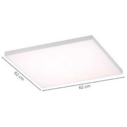 Paul Neuhaus 8492-16 - LED prigušiva nadgradni panel bez okvira LED/35W/230V + daljinski upravljač