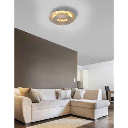 Paul Neuhaus 9011-12 - LED plafonsko svetlo NEVIS LED/6W/230V, zlatno