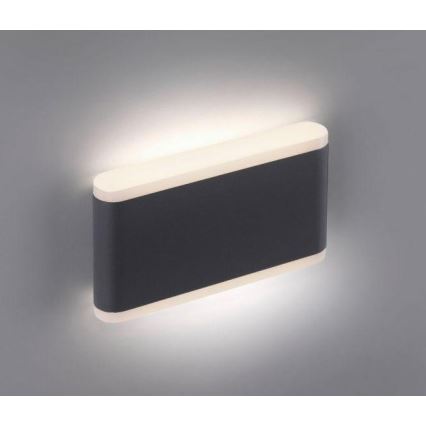 Paul Neuhaus 9483-13 - LED spoljno zidno svetlo ELSA 2xLED/5,4W/230V IP65