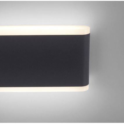 Paul Neuhaus 9483-13 - LED spoljno zidno svetlo ELSA 2xLED/5,4W/230V IP65