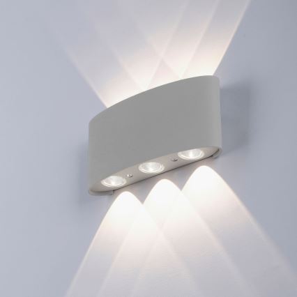 Paul Neuhaus 9488-21 - LED spoljno zidno svetlo CARLO 6xLED/0,8W/230V IP54