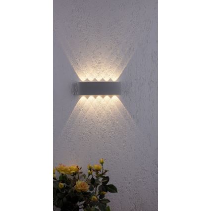 Paul Neuhaus 9489-21 - LED spoljašnje zidno svetlo CARLO 10xLED/0,8W/230V IP54