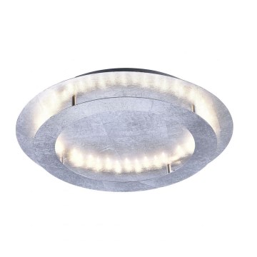 Paul Neuhaus 9621-21 - LED plafonska svetiljka NEVIS LED/24W/230V