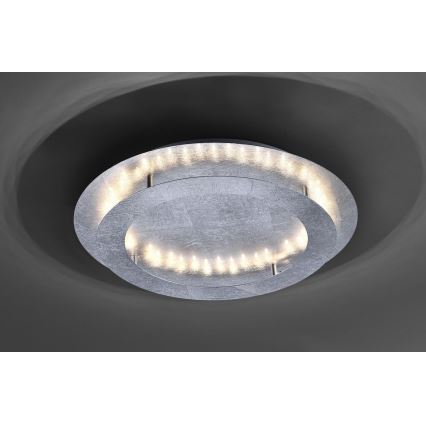 Paul Neuhaus 9621-21 - LED plafonsko svetlo NEVIS LED/24W/230V