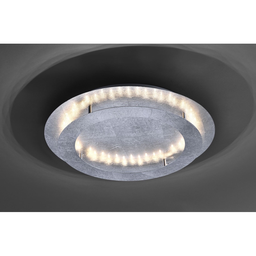 Paul Neuhaus 9621-21 - LED plafonsko svetlo NEVIS LED/24W/230V