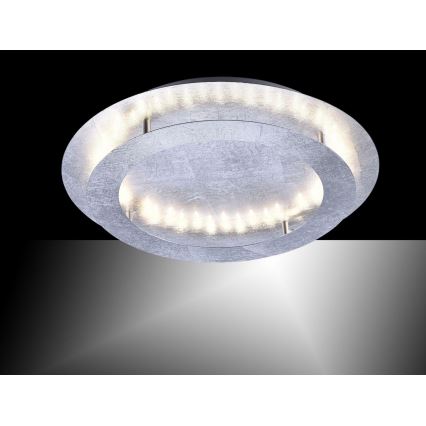 Paul Neuhaus 9621-21 - LED plafonsko svetlo NEVIS LED/24W/230V