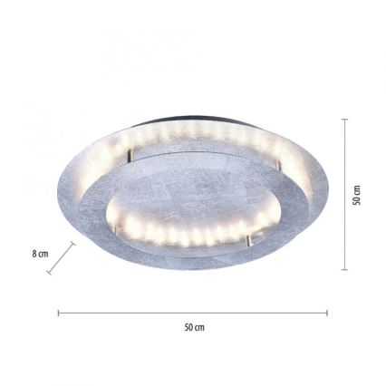 Paul Neuhaus 9621-21 - LED plafonsko svetlo NEVIS LED/24W/230V