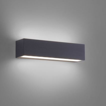 Paul Neuhaus 9675-13 - LED spoljna zidna svetiljka ROBERT 2xLED/9W/230V IP65