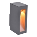 Paul Neuhaus 9693-13 - LED spoljašnje zidno svetlo JUSTIN LED/7W/230V IP44